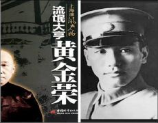 无法之下只能投靠